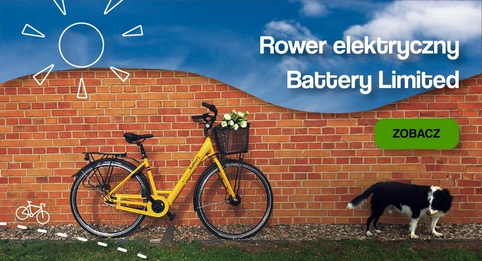 Rower Battery Limited